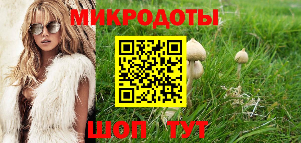 Галлюциногенные грибы GOLDEN TEACHER Куйбышев