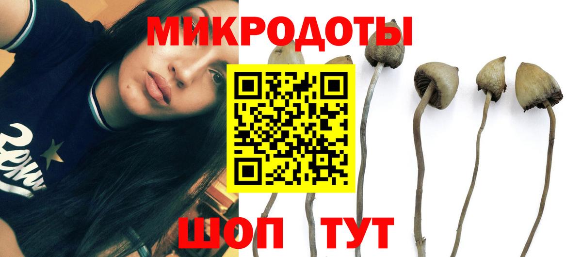 Галлюциногенные грибы MAGIC MUSHROOMS  Вход с VPN  Куйбышев 